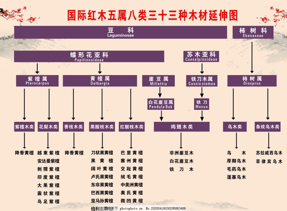 国际红木五属八类三十三种木材延