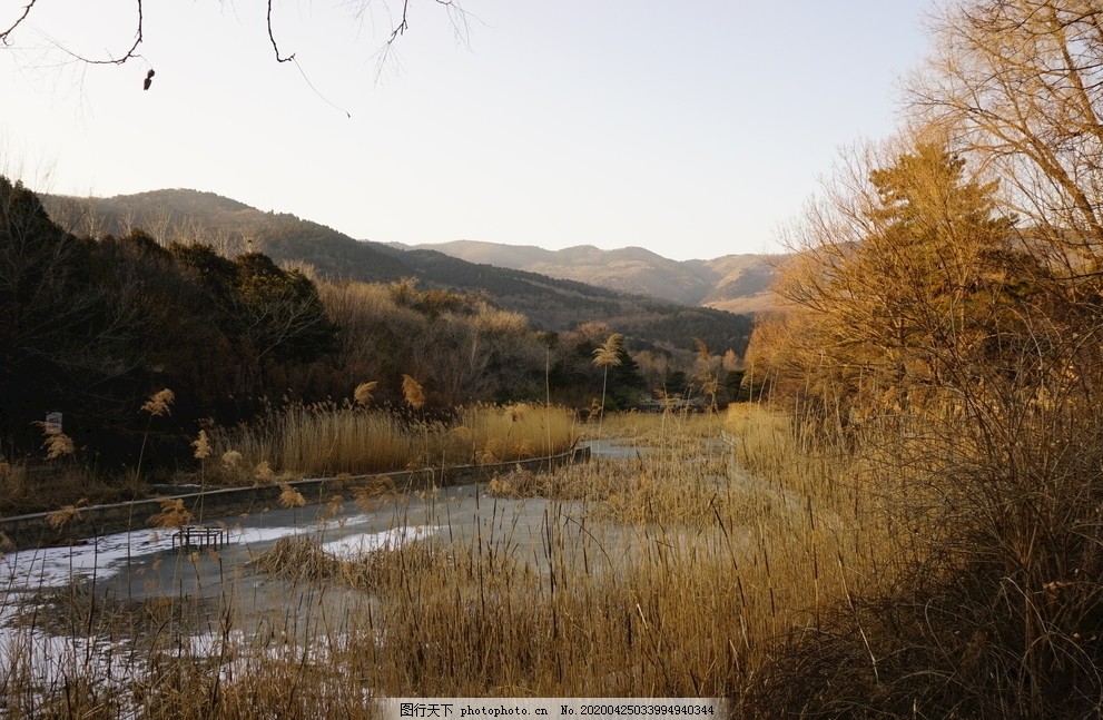 北京植物园冬景图片 旅游摄影 自然景观 图行天下素材网