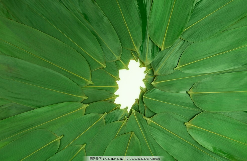 端午节绿色粽叶4k背景图片 背景素材 Psd分层 图行天下素材网