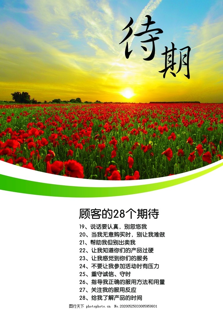 期待,花海,海报,朝阳,分层,红花,一片花,设计,PSD分层素材,100DPI,PSD