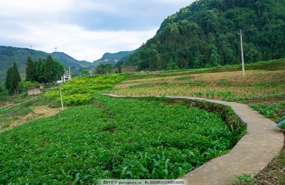 乡间小路