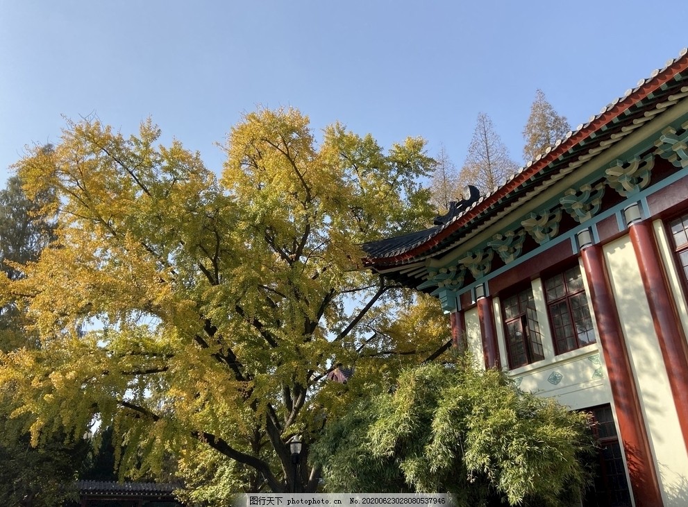 南师大随园校区,南京师范大学,随园,校区,大学,高校,摄影,建筑园林,建筑摄影,72DPI,JPG